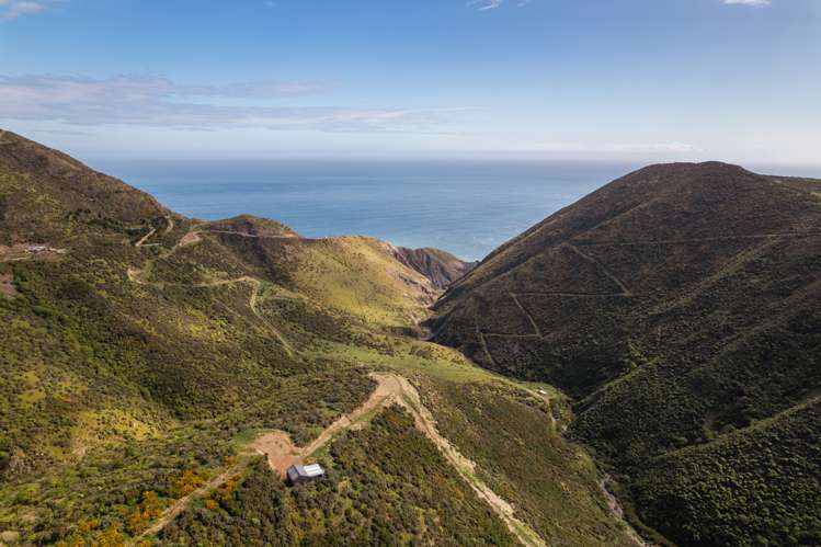 510 Southernthread Road Brooklyn_9