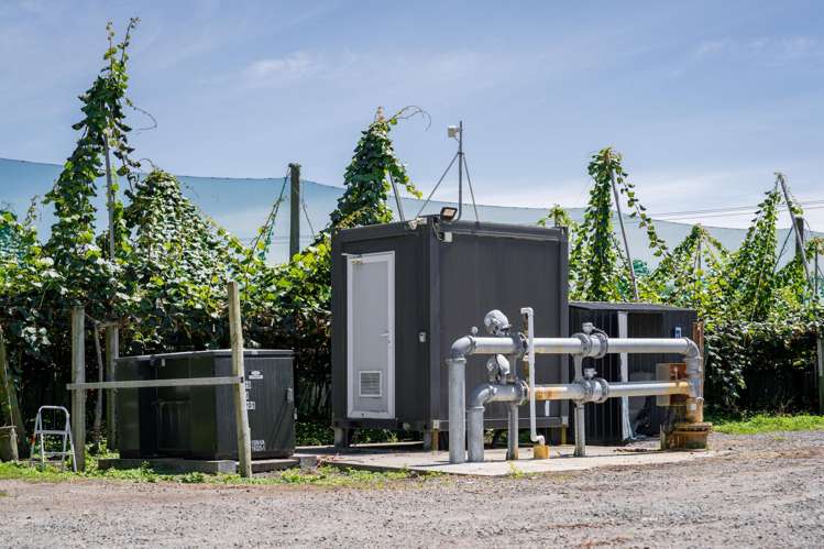 187 Western Drain Road Edgecumbe_9