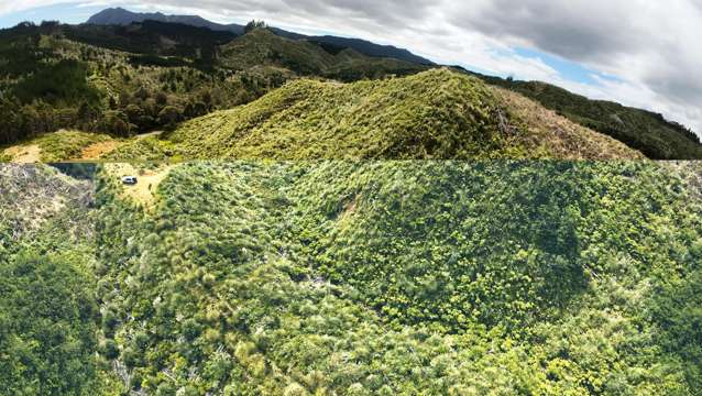 Lot 23 Waiotehue Road Herekino_4