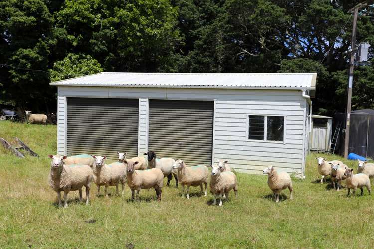 29 Patrick Lane Ramarama_17