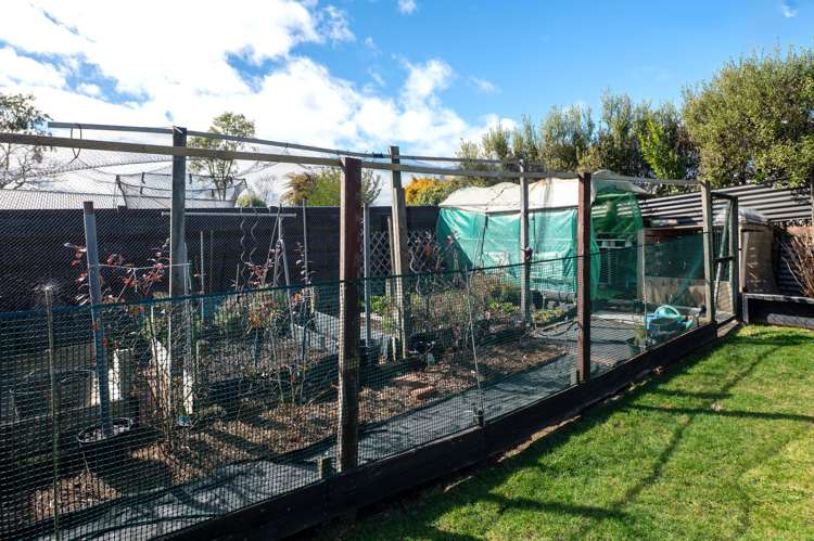 14 Tawavale Street Pukehangi_19