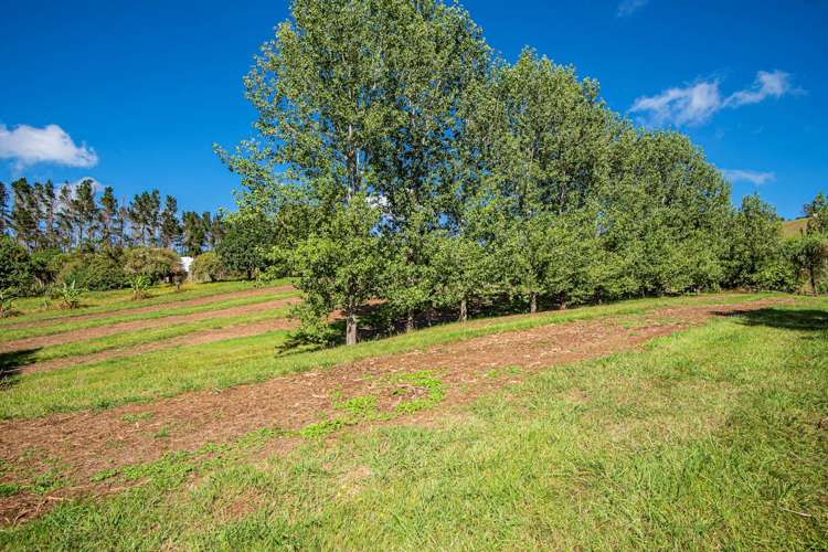 21 Going Road Matarau_25