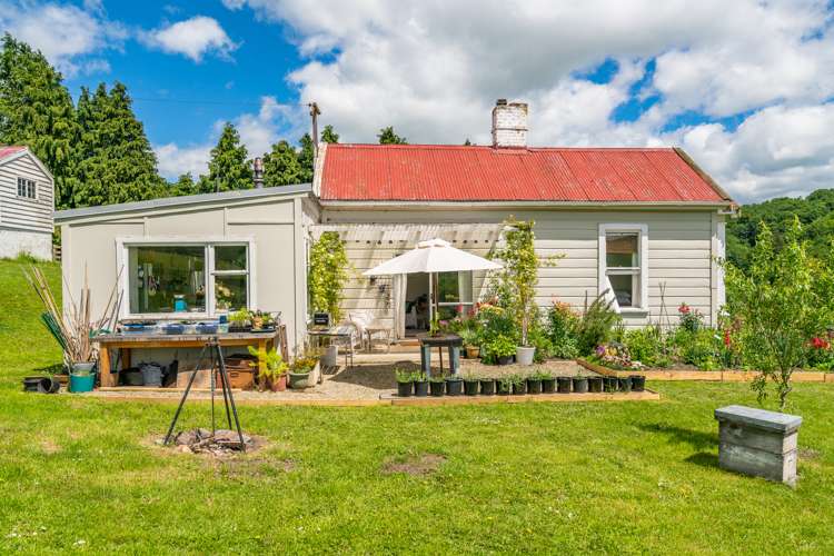 3 Annan Street Lawrence_16