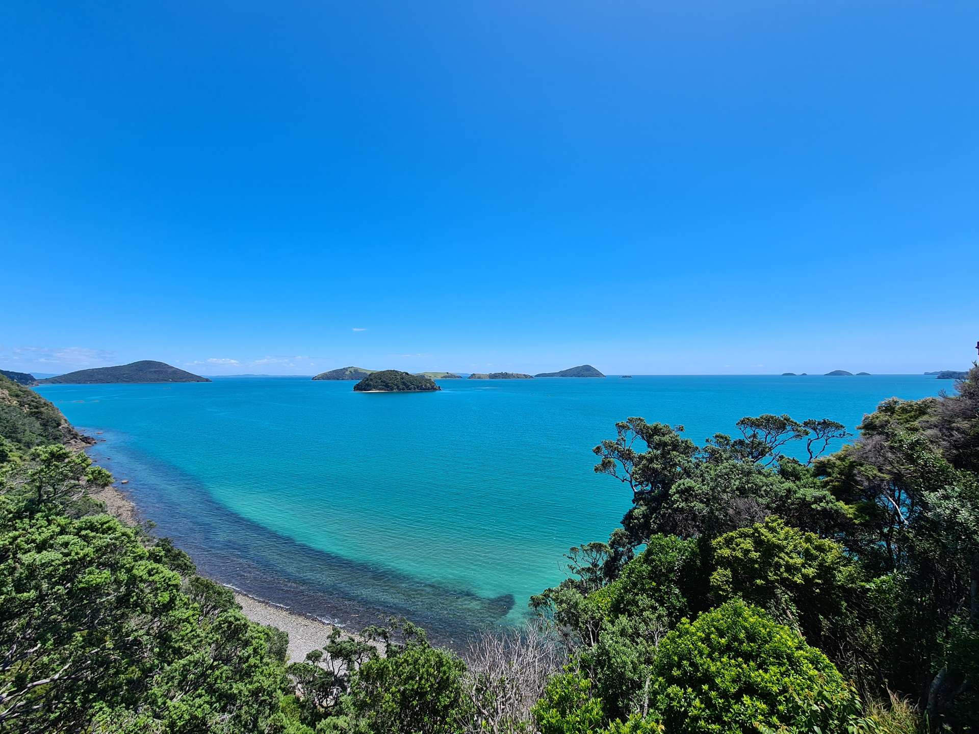 1600 Wyuna Bay Road Coromandel_0