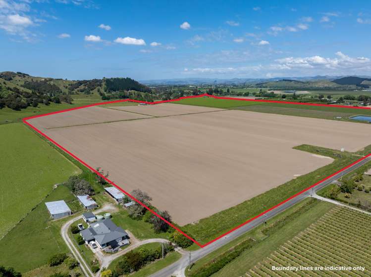 Whitmore Road Ormond_5