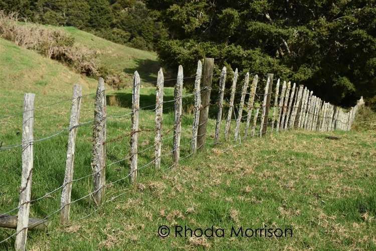 280 Central Road Mareretu_38