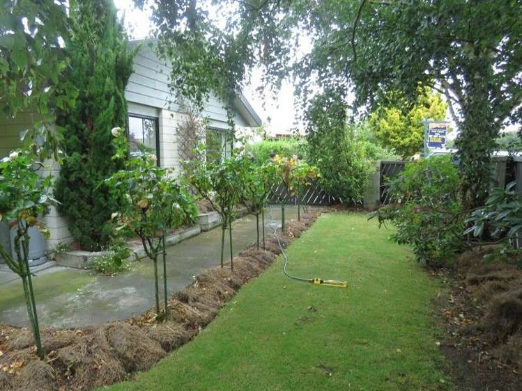 21 Orr Street Netherby_12