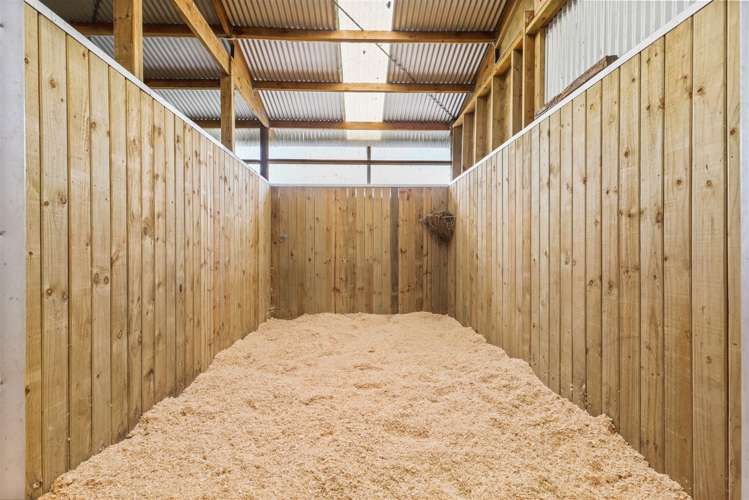 27c Marshmeadow Road Newstead_30