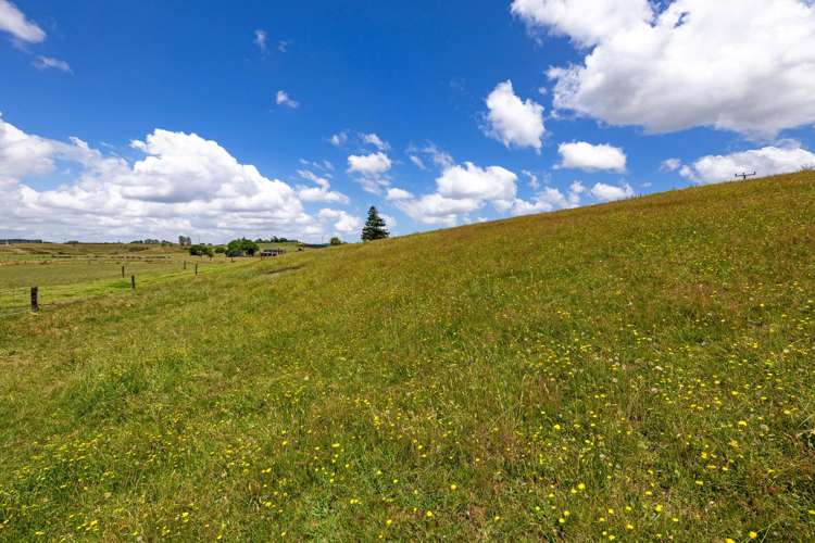 Bankier Road Horsham Downs_19