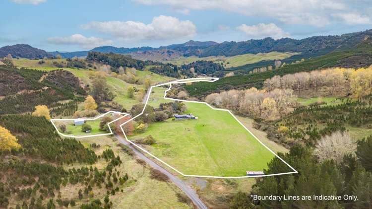 424 Tapuiwahine Road Ongarue_19