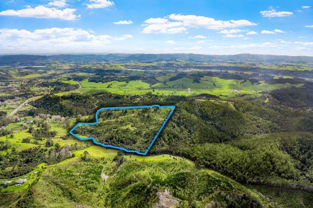 Lot 3 Radiata Road Warkworth_1