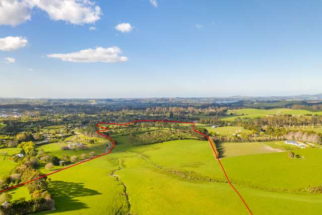 39 Riddell Road Kerikeri_3