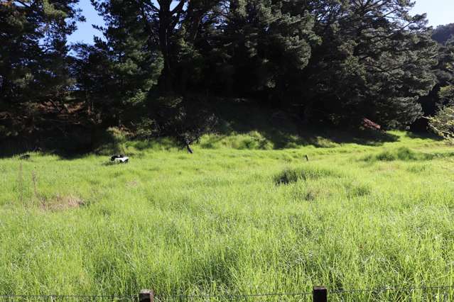 163 and 165 Tapu Coroglen Road Tapu_4