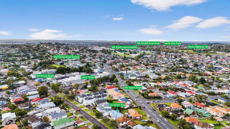 16 Jasper Avenue Mount Roskill_20