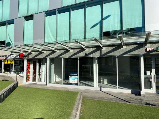 Part Ground Floor, 109 Ward Street Hamilton Central_1