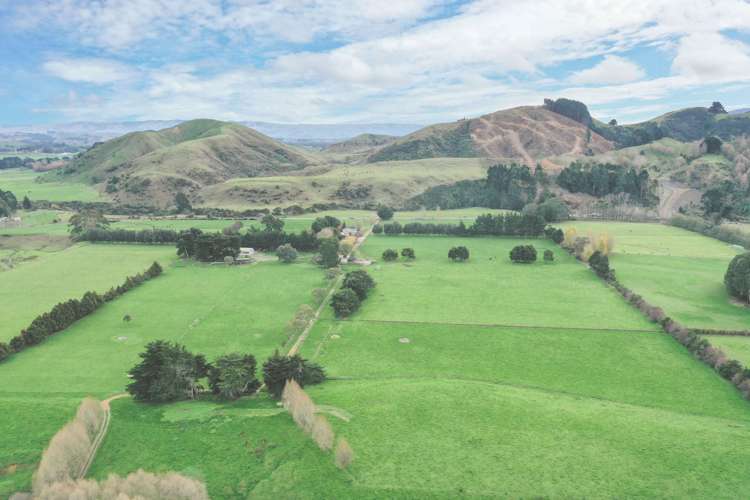 78 Waituna Road Pahiatua_10