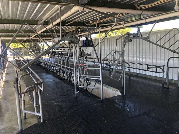 1267 Leeston Road Leeston_0