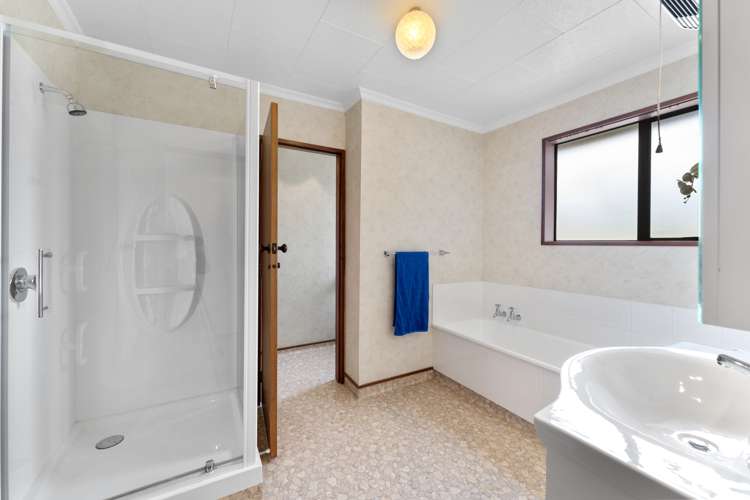 52 Bringans Street Alexandra_14