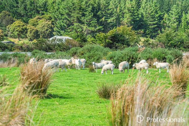 120 Upper Fitzherbert Road Wainuiomata_22