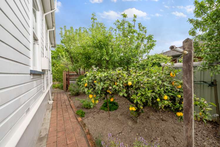 56 George Street Blenheim Central_37