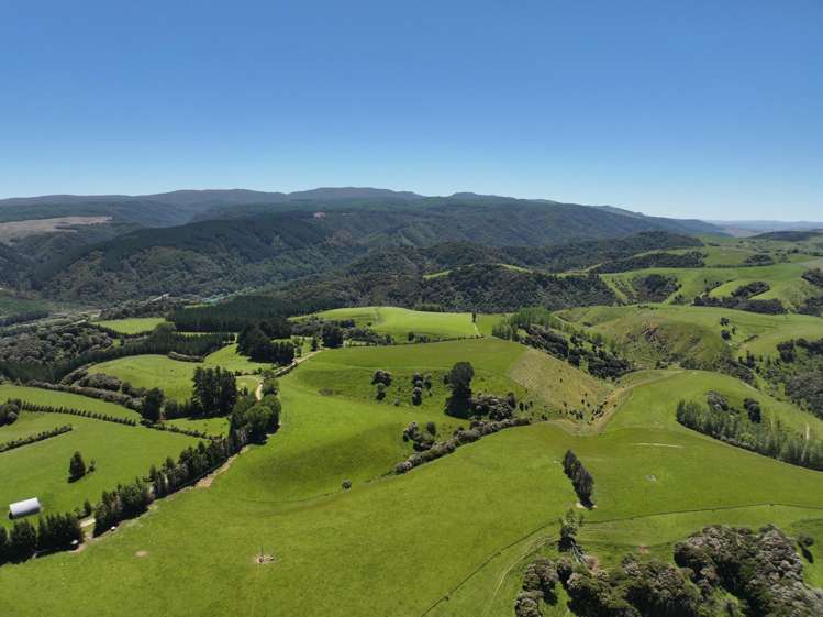 202 Kononi Road Tuapeka West_14