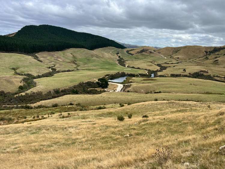 360 Speedy Road Dannevirke_0