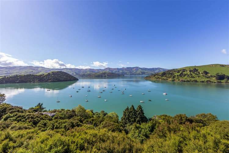 176 Wainui Main Road French Farm_18