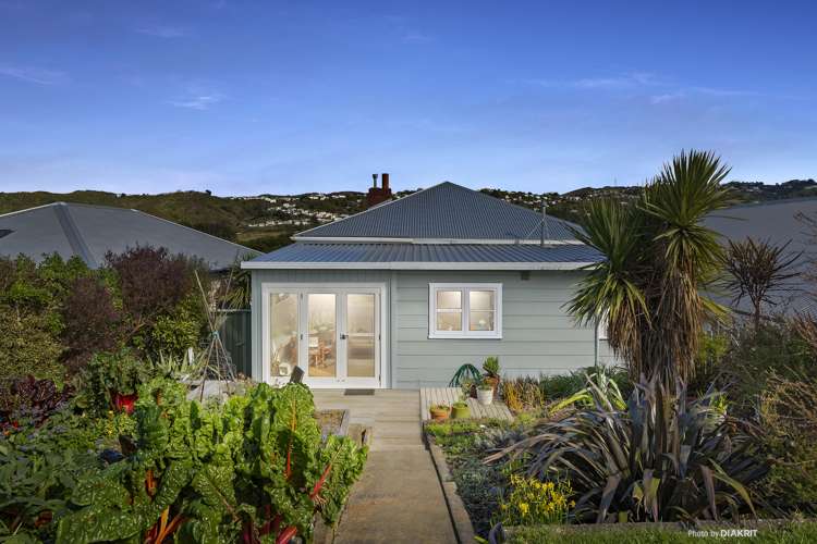 245 Rintoul Street Berhampore_0