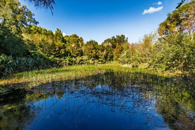 Lot 1/332 Kapiro Road Kerikeri_3