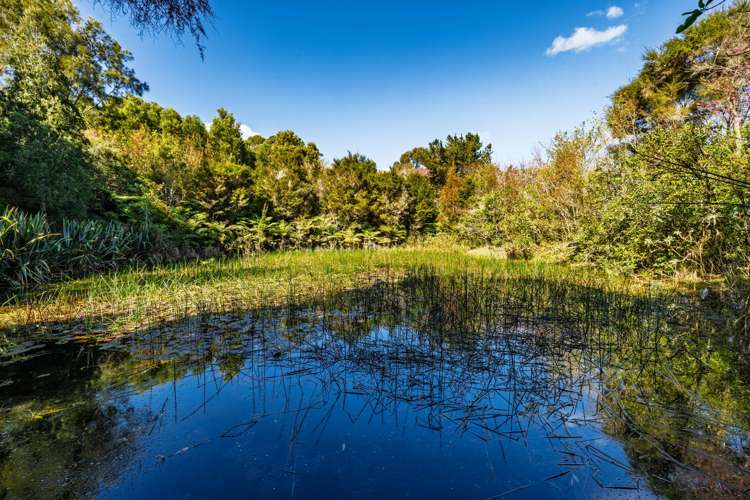 Lot 1/332 Kapiro Road Kerikeri_3