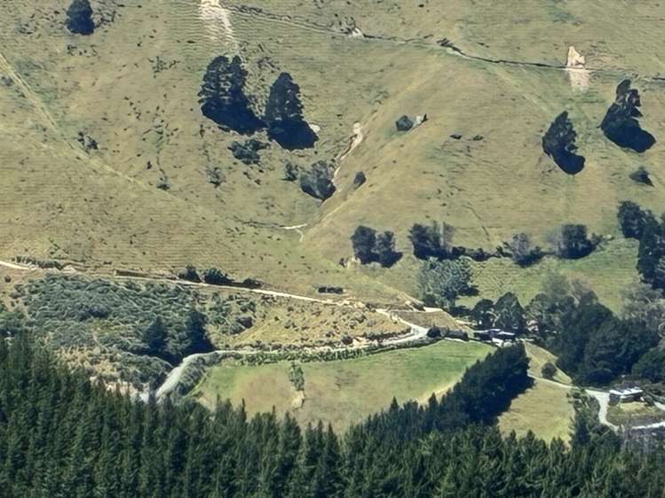 Cissy Bay Road, Cissy Bay French Pass_21