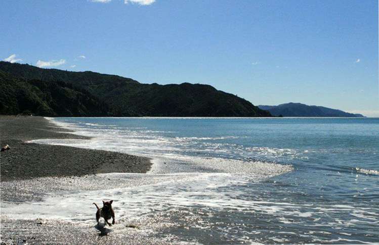 214 Rarangi Beach Road Rarangi_19