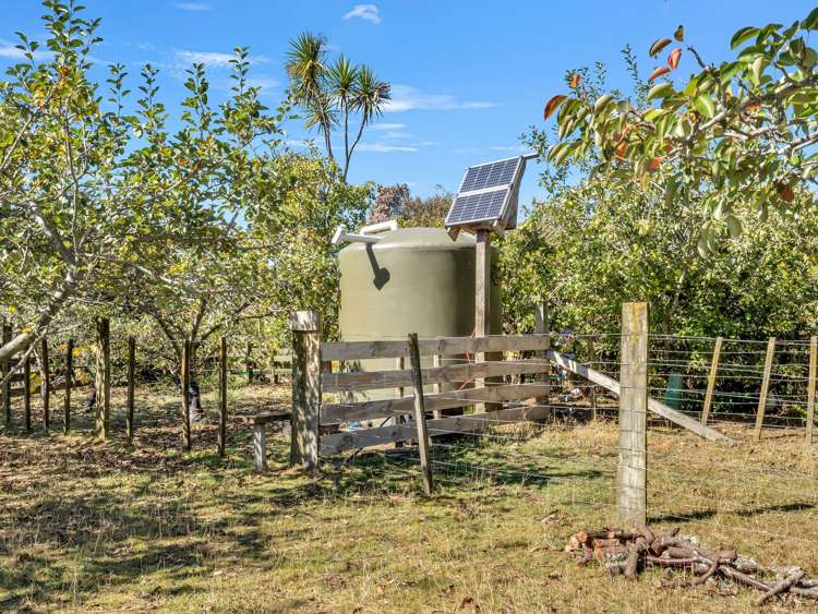 371 Tutaki Road Bunnythorpe_28