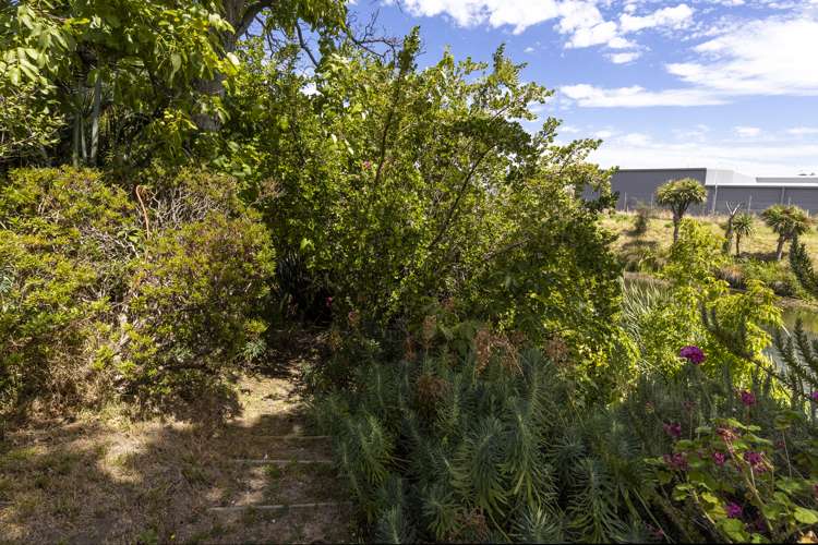 13 Dawkins Place Islington_19