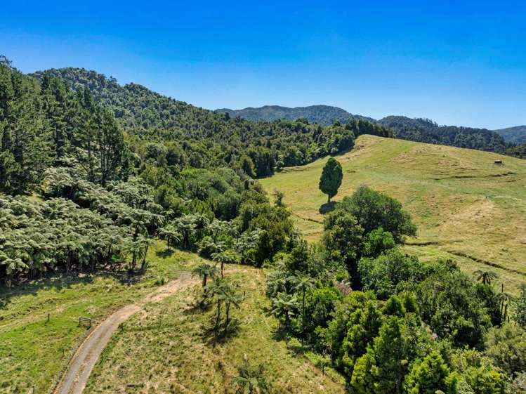 348D Rea Road Katikati_21