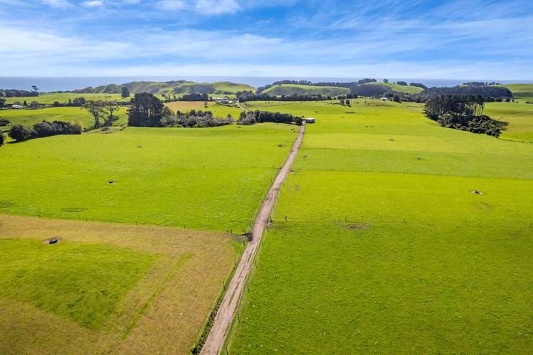 226 Pukearuhe Road Mimi_17