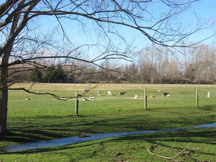 208 Woodbury Road Geraldine_1