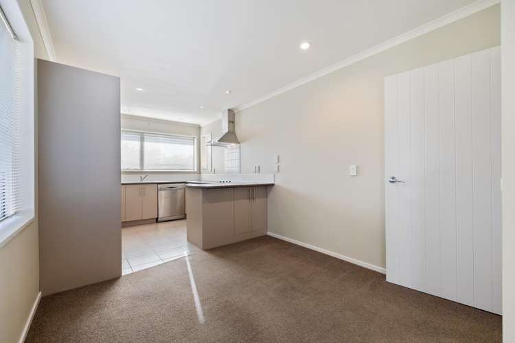 29b Carters Road Amberley_7