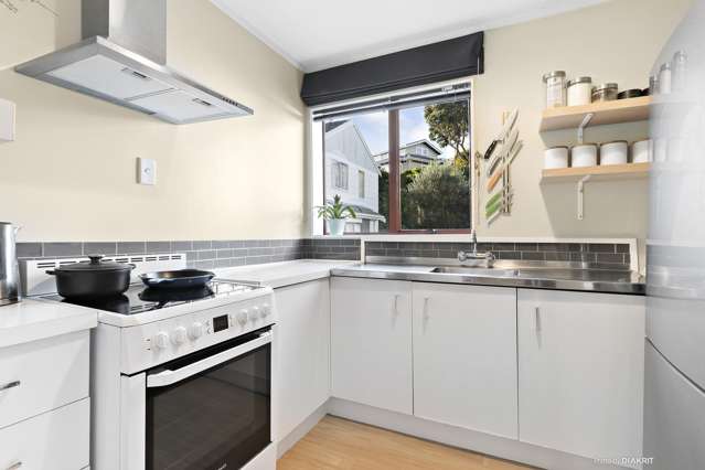 5i Duke Street Mount Victoria_4