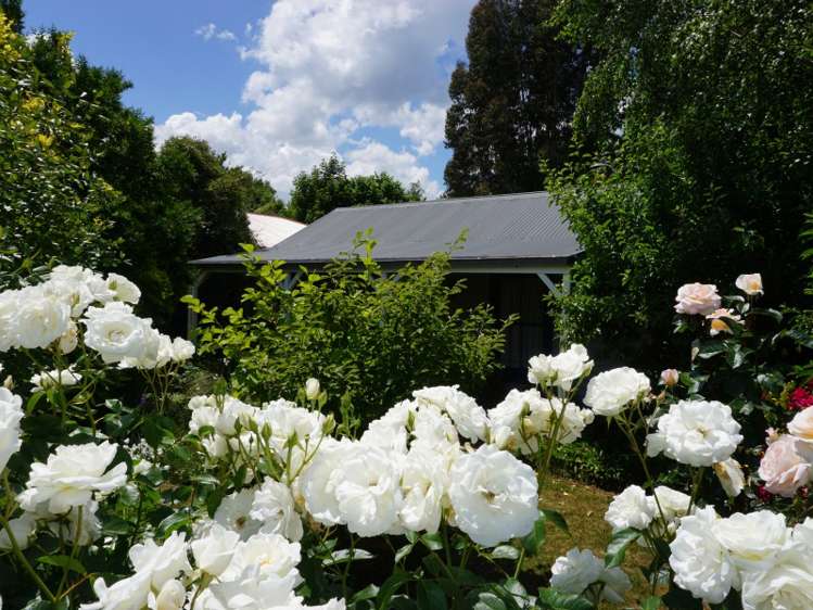 15 Amuri Avenue Hanmer Springs_19