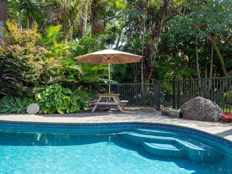 50B Equestrian Drive Kerikeri_22