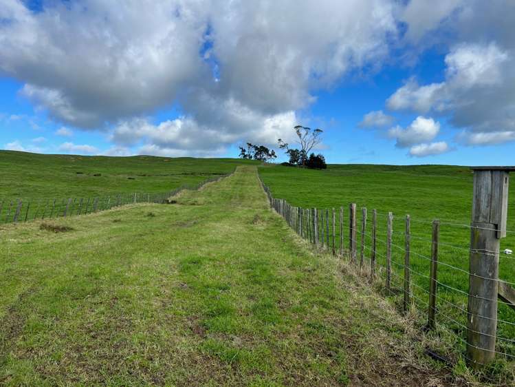 401 Waikaretu Valley Road Glen Murray_13