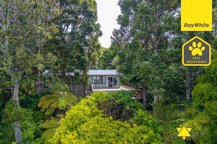 43 Tane Road_0