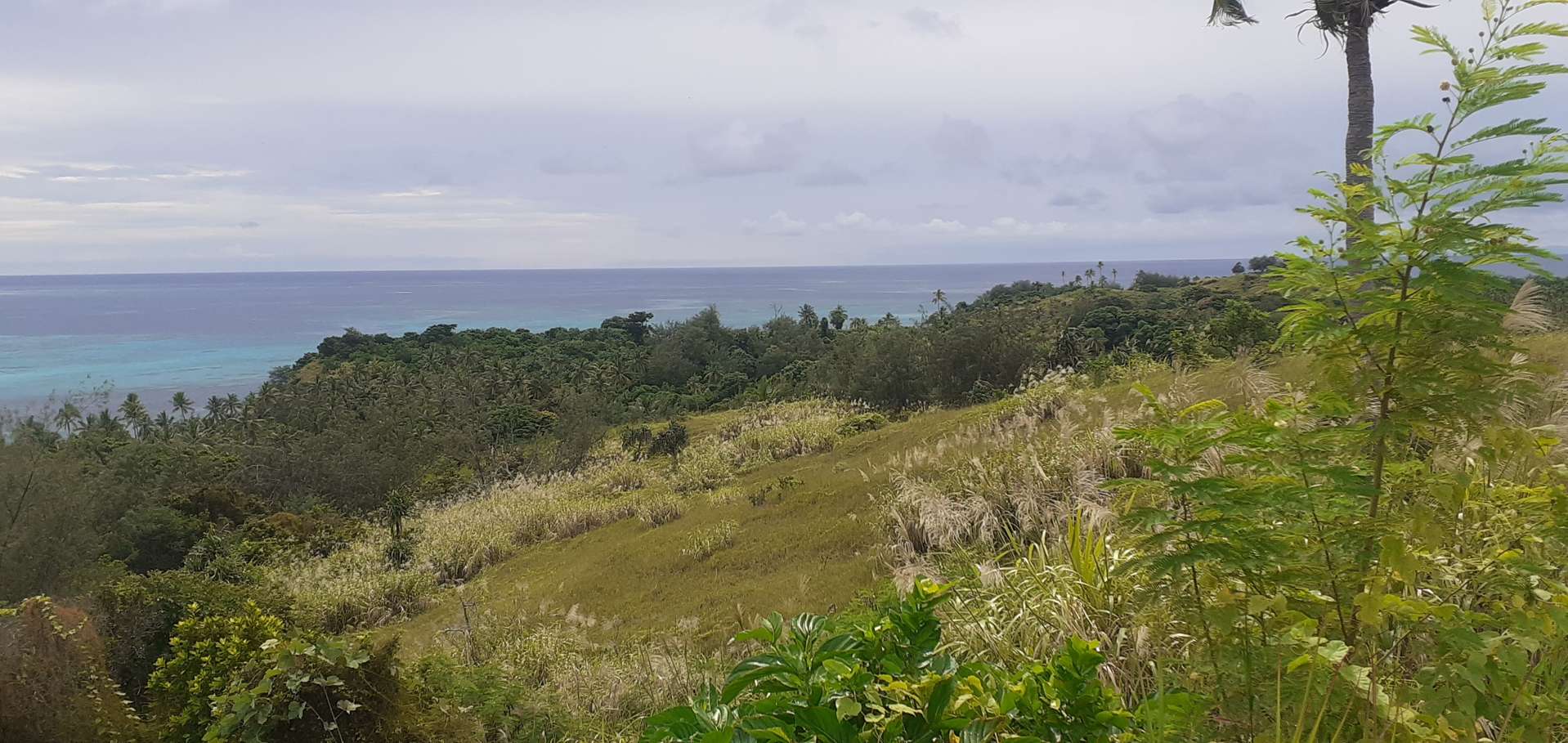 Nanuya lailai Island , Yasawa Viti Levu_0