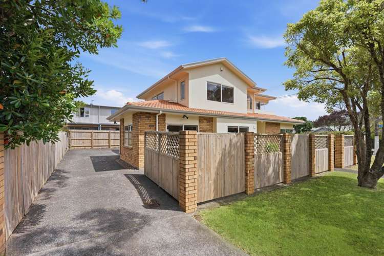 239 Campbell Road Greenlane_1