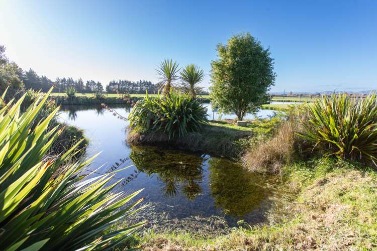 1109 Top Grass Road Dannevirke_18