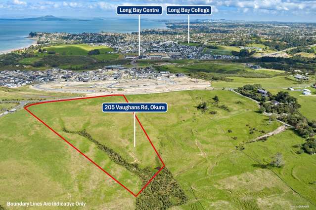 205 Vaughans Road Okura_2