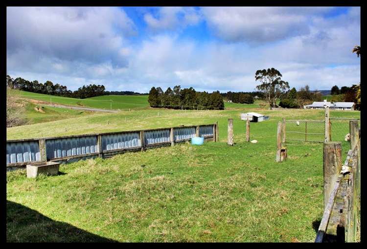 20 Old Port Road Catlins Surrounds_22