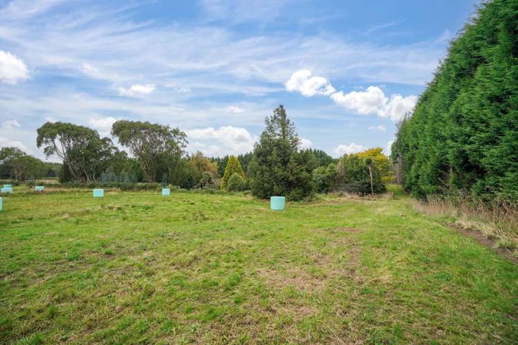 190 Otatara Road New River Ferry_7