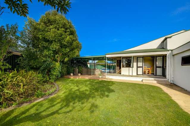 11 Donegal Crescent Tamatea_1